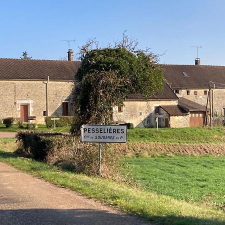 Longere Campagne 10 Pers. Proche Guedelon Villa Sougeres-en-Puisaye Buitenkant foto