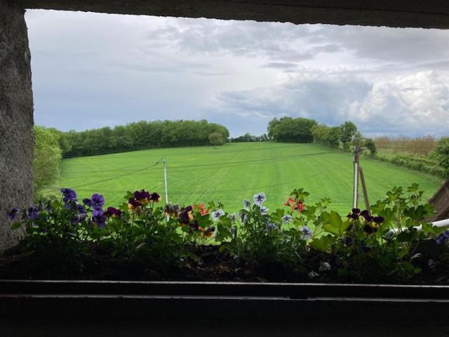 Longere Campagne 10 Pers. Proche Guedelon Villa Sougeres-en-Puisaye Buitenkant foto