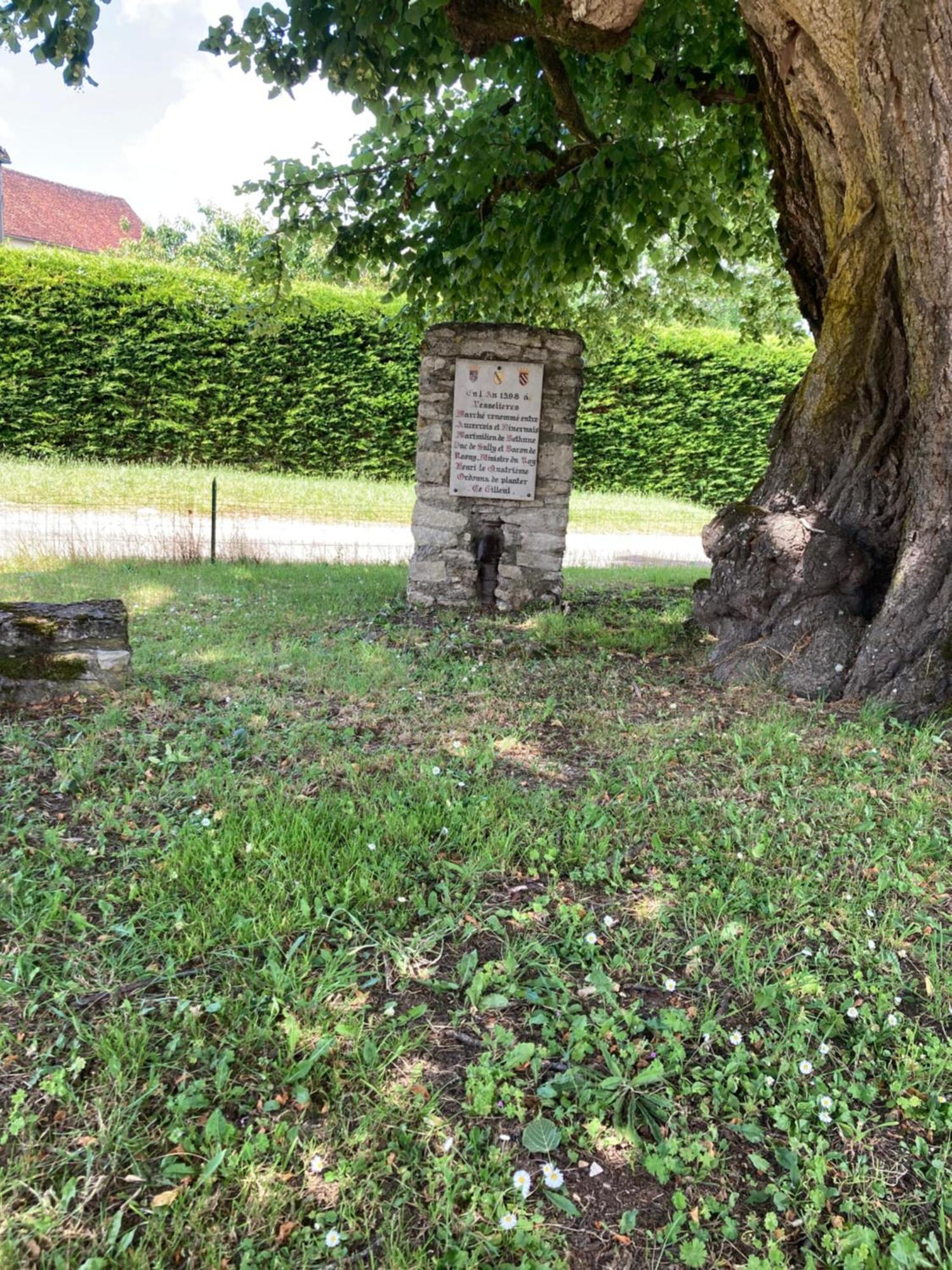 Longere Campagne 10 Pers. Proche Guedelon Villa Sougeres-en-Puisaye Buitenkant foto